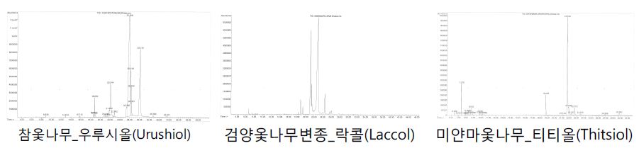 옻칠종류별 카테콜의GC MSD Spectra