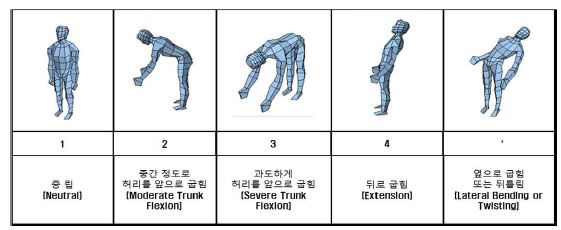 BLUE-X: 허리의 자세 분류