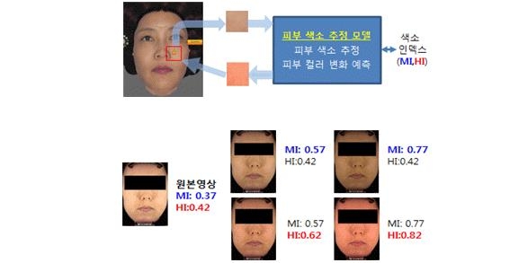 피부 색소 변화에 따른 피부 컬러 추정 개념도 및 추정 결과