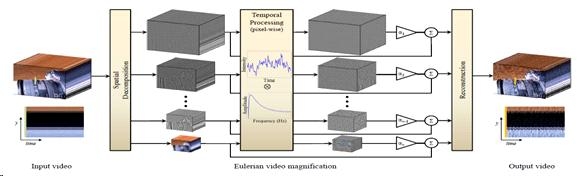 Video Magnification overview