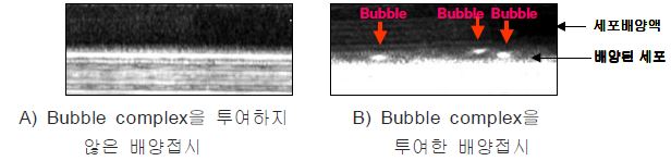 Bubble을 관찰한 초음파소견. 배양접시위에서 자란 제대정맥 내피세포에서 흰색으로 bubble이 관찰.