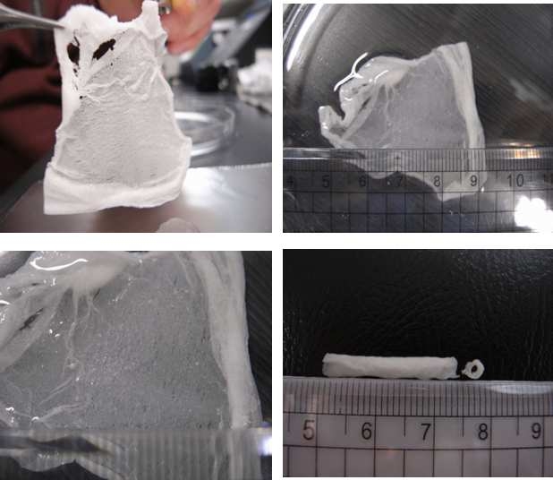 Fabrication of nanofibrous sheets and tube from poly(lactic acid co-ε-caprolactone) (PLCL)