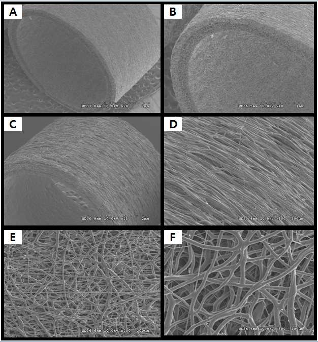 Tubular type의 PLCL electrospun nanofiber 스케폴드의 SEM 촬영 결과. (A) entire construct (x20) (B) cross- sectional morphologies (x40) (C- D) outer surface (C: x25, D: x100) (E- F) inner surface (E: x200, F: x500)