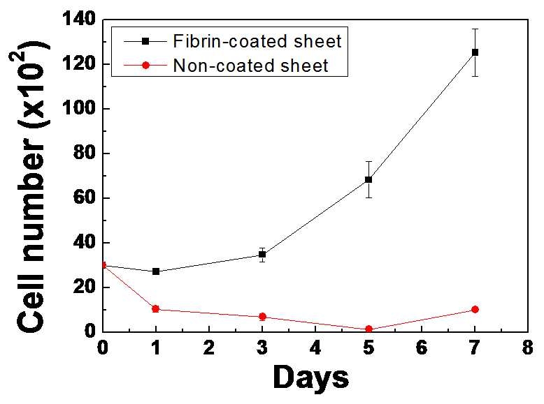 CCK- 8 kit를 이용한 fiber sheet위에서 fibroblast의 세포 성장률.