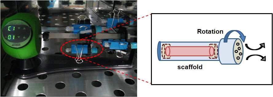 Photograph and schematic of the rotating system used for the MSCs seeding about speed of 1 rpm of the tubular scaffolds