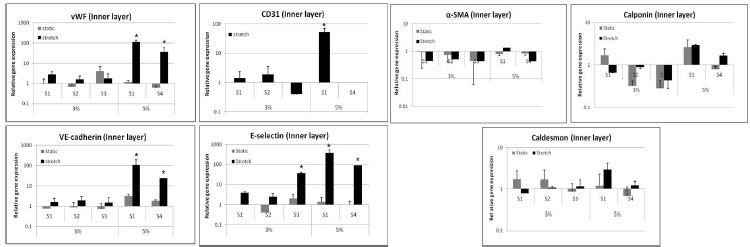 The qPCR results for EC and SMC markers of MSCs cultured on inner layers of the scaffolds and subjected for 3% stretch for 3 days followed by 5% stretch for 4 days. (*p < 0.05)