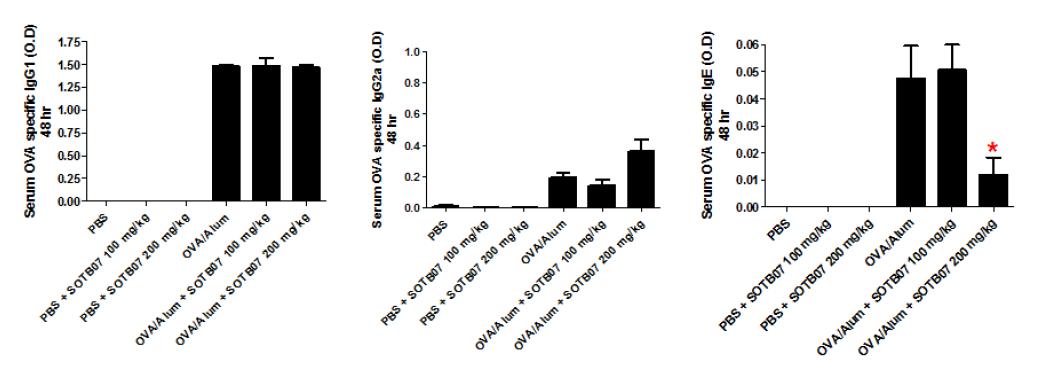 Analysis of OVA-specific Abs in serum