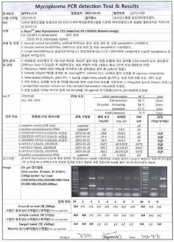 배양중인 세포에서 마이코플라즈마 검출 PCR 검사를 매월 수행한 결과, 상용 kit에서 제공하는 검출 마이코플라즈마 8속/209 종이 전혀 검출 되지 않았음. 이는 전임상시험을 위한 기준에 적합함.