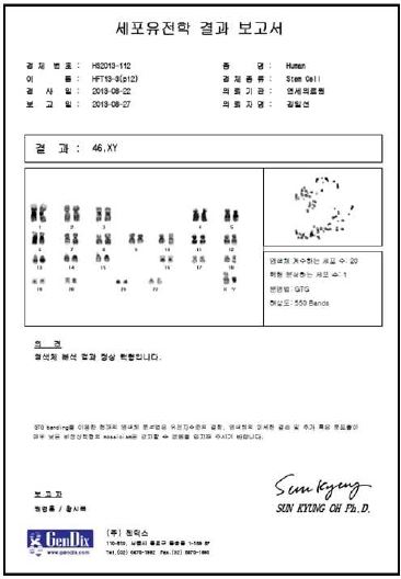 배양 초기와 장기배양세포에서 염색체 분석. 세포 핵형이 두 세포에서 모두 정상으로 나타나, 장기배양이 세포의 유전적 안정성에 영향을 미치지 않음을 확인함.