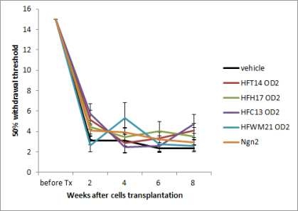 vonfrey test among transplantation group and vehicle-injected control group