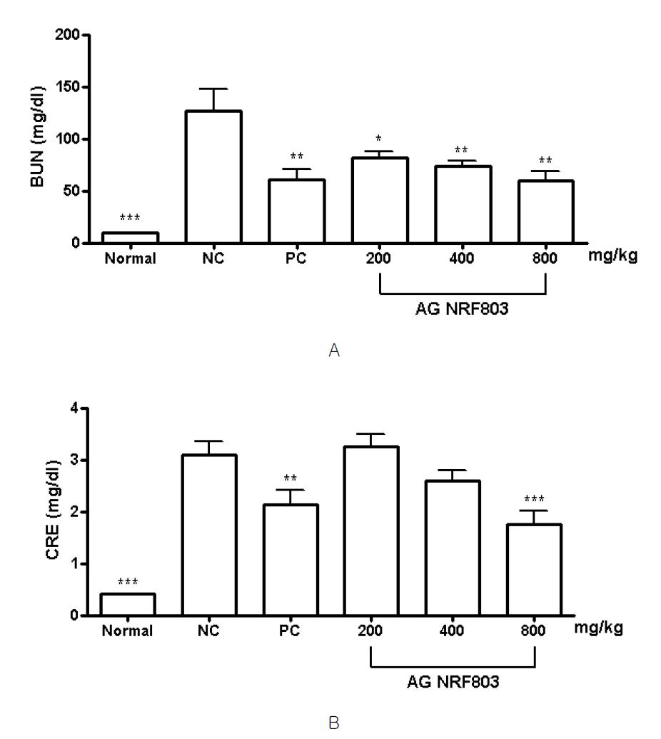 Effects of AG NRF803 on cisplatin-induced nephropathy in rats.