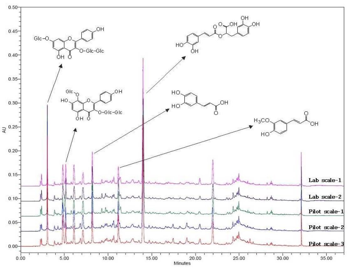 HPLC pattern analysis of AG NRF803