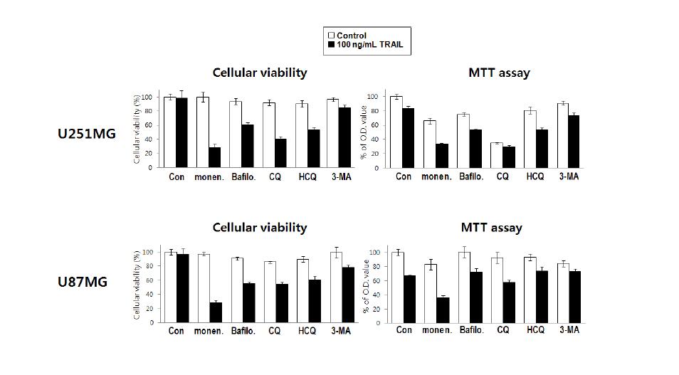 각종 autophagy inhibitor들의 TRAIL sensitizing effect