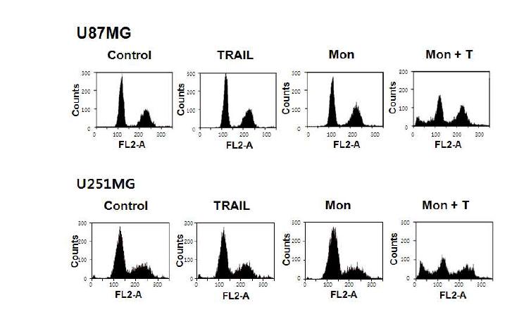 Monensin과 TRAIL의 단독 및 병합 처리 시 세포 주기에 미치는 효과
