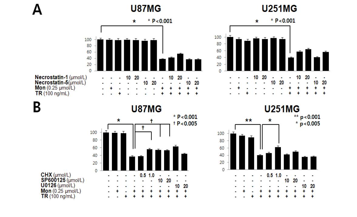 Necrosis와 paraptosis inhibition이 monensin과 TRAIL 병합처리에 의한 세포 사멸에 미치는 효과