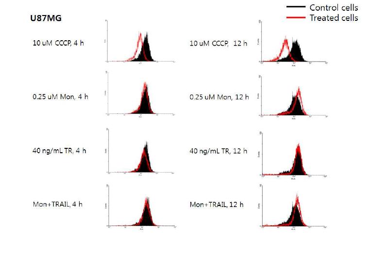 Monensin과 TRAIL에 의한 MMP 변화 측정
