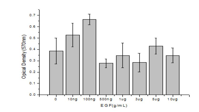 EGF의 함량에 따른 CCD- 986sk세포의 성장률 비교(Day 2)