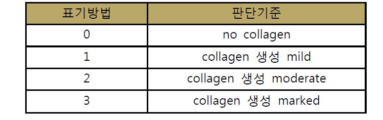 Collagen 생성의 병리판단 기준