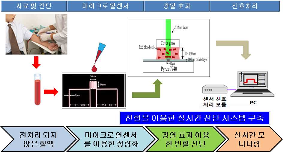 그림 2. 적혈구 헤모글로빈의 광열효과를 이용한 빈혈 진단 시스템의 구축