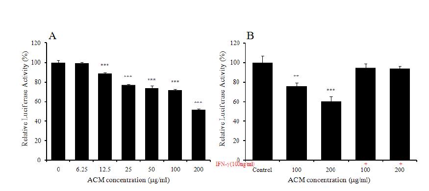 ACM effects on BACE1 promoter activity.