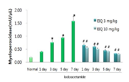 Iodoacetamide에 의한 myeloperoxidase활성(neutrophil 침습지표)변화와 이에 대한 QGC의 효과