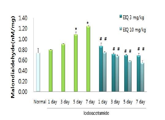 Iodoacetamide투여후 증가된 malondialdehyde level(지질과산화의 지표)에 대한 EIQ의 효과
