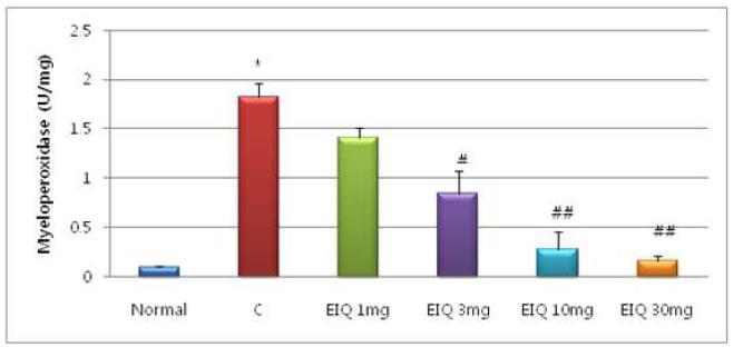 식도염 유발에 양제엽 EXT. 투여에 따른 MPO 활성 영향.