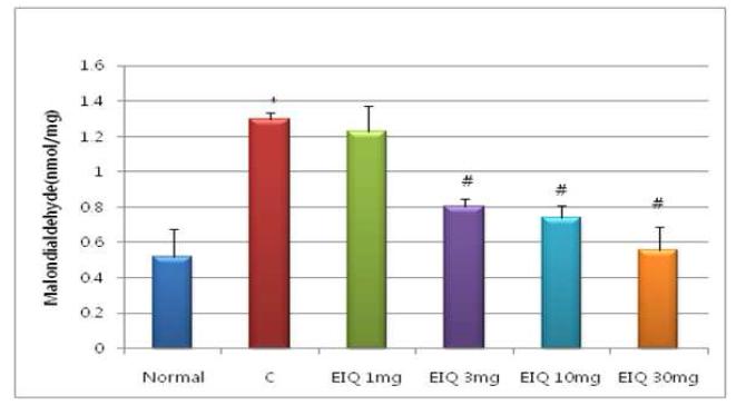 식도염유발에 EIQ에 따른 MDA level 영향.