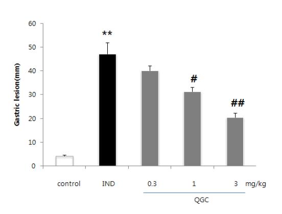 Indomethacin투여에 의한 위점막병변면적과 이에 대한 QGC의 효과