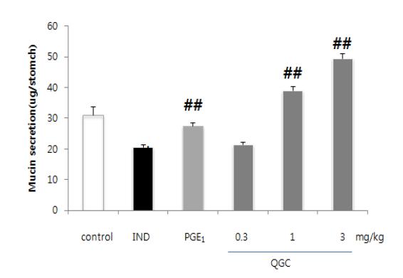 indomethacin에 의한 mucus분비량변화와 이에 대한 QGC의 효과