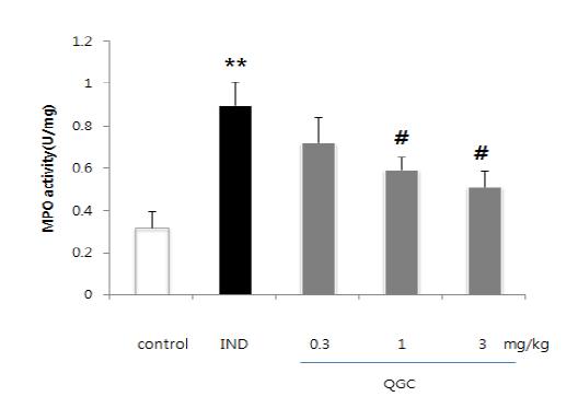 indomethacin에 의한 MPO 활성변화와이에대한 QGC의 효과