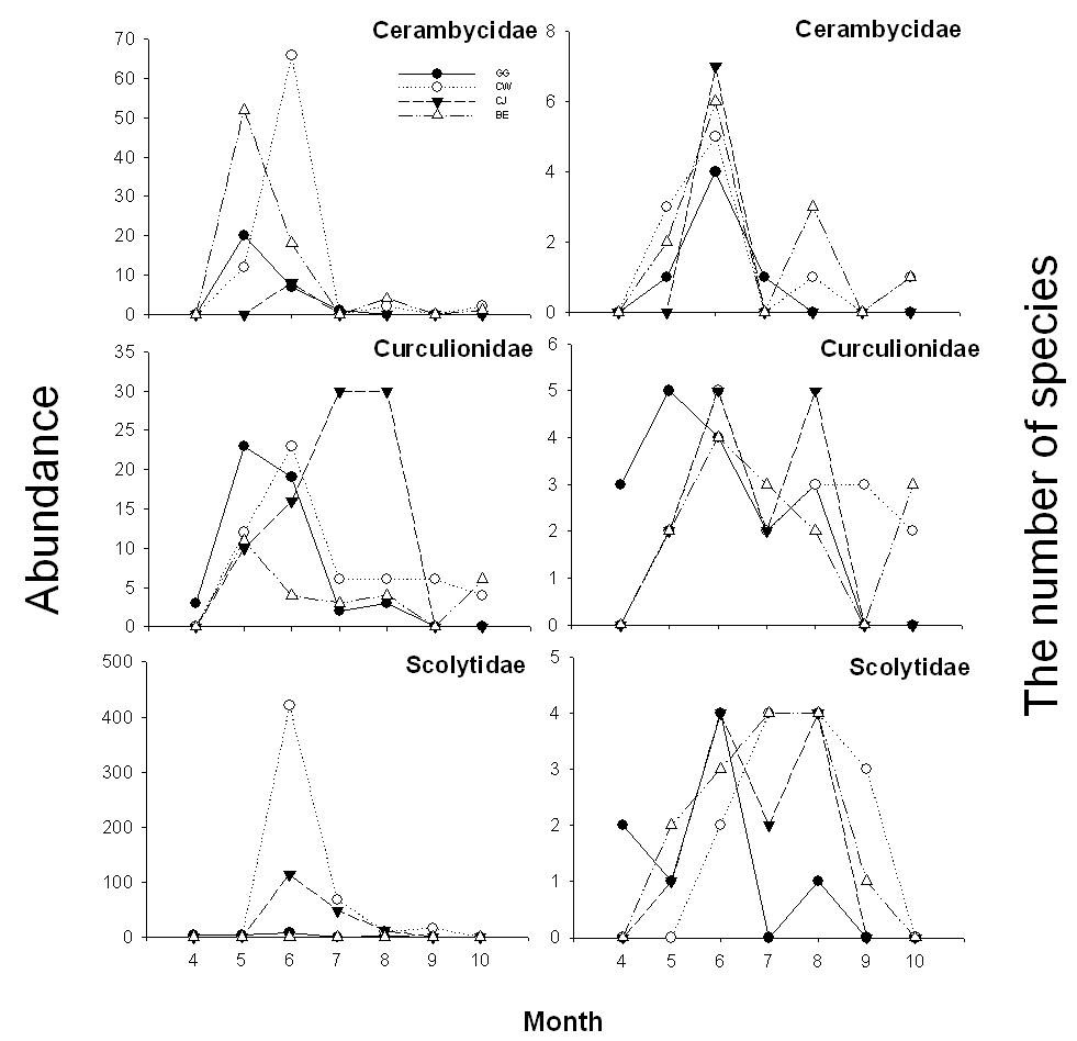 그림 81. 월별, 지역별 하늘소류, 바구미류, 나무좀류 풍부도와 종 수 변화