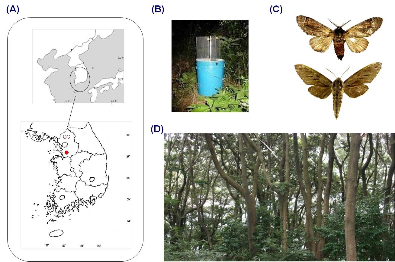 그림 82. 나방류 채집지역(A), 유아등(B), 재주나방과 박각시나방 (C) 채집이 수행된 수목원 모습 (D)