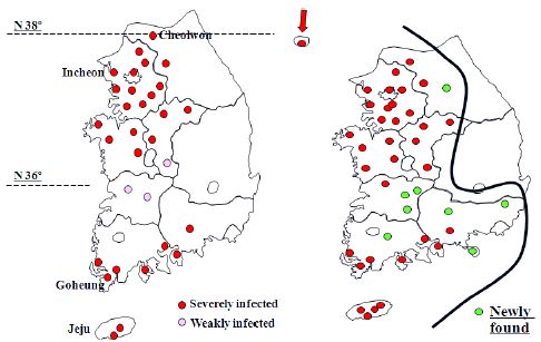 그림 26. 푸사리움가지마름병 발생분포 변화 (왼쪽: 2000. 1; 오른쪽: 2001. 10)