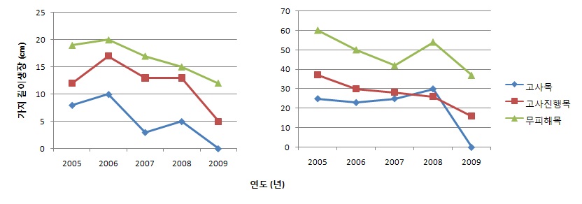 그림 49. 사천시 해송의 가지 길이 생장 변화(좌:다평리, 우:추천리)