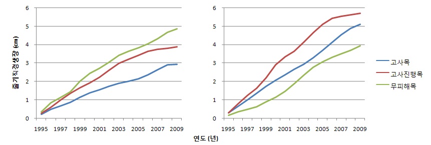그림 50. 사천시 해송의 줄기 직경 생장 변화(좌:다평리, 우:추천리)