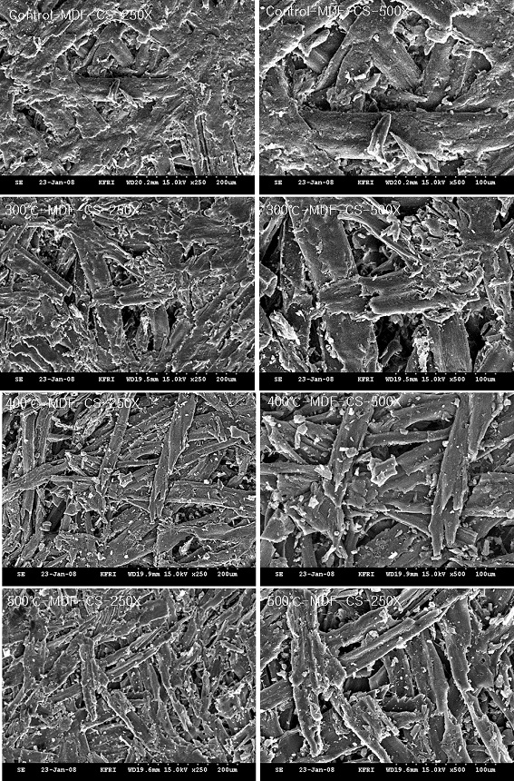 미탄화 MDF 및 온도별로 제조된 탄화 MDF의 표층 사진