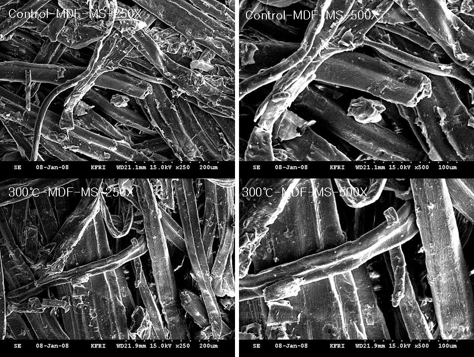 미탄화 MDF 및 온도별로 제조된 탄화 MDF의 중간층 사진