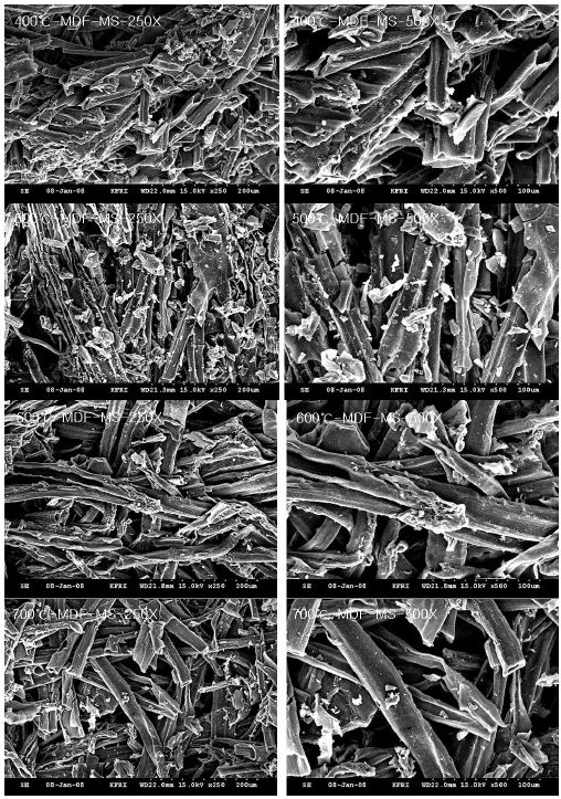 미탄화 MDF 및 온도별로 제조된 탄화 MDF의 중간층 사진