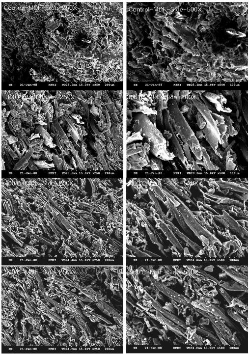 미탄화 MDF 및 온도별로 제조된 탄화 MDF의 측면층 사진
