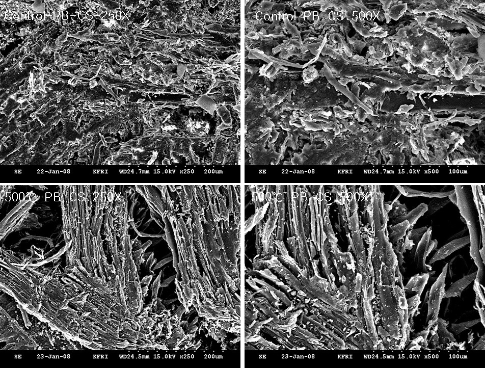 미탄화 파티클보드(PB) 및 온도별로 제조된 탄화 PB의 표층(CS), 중간층(MS), 측면층(SS) 사진