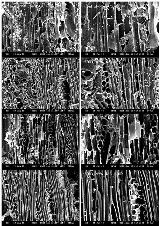 미탄화 합판(PW) 및 온도별로 제조된 탄화 합판의 표층(CS), 중간층(MS), 측면층(SS) 사진