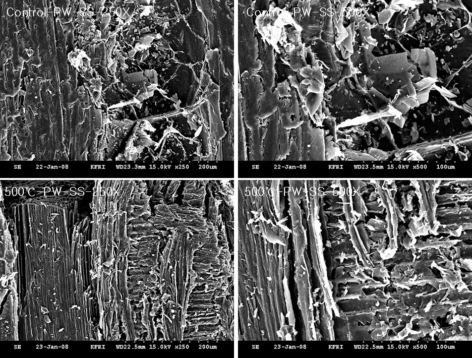 미탄화 합판(PW) 및 온도별로 제조된 탄화 합판의 표층(CS), 중간층(MS), 측면층(SS) 사진