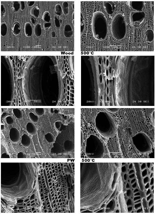 500℃에서 제조된 탄화보드의 SEM(×100, ×200, ×500, ×1,000) - 목재와 합판