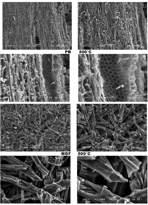 500℃에서 제조된 탄화보드의 SEM(×100, ×200, ×500, ×1,000) - PB&MDF