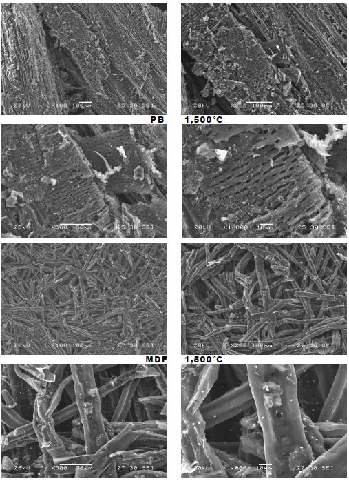 1,500℃에서 제조된 탄화보드(×100, ×200, ×500, ×1,000) - PB&MDF