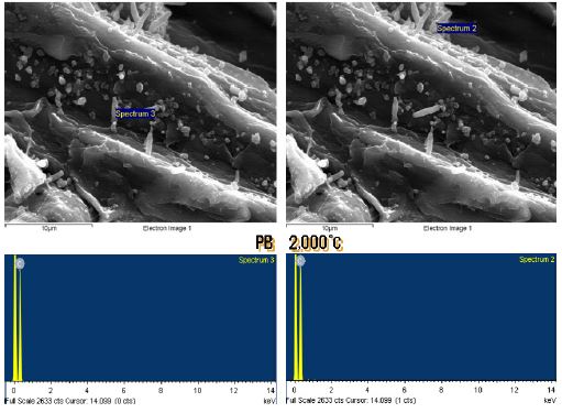 EDX-ray에 의한 침상결정구조의 성분분석(탄화 PB, 2,000℃)