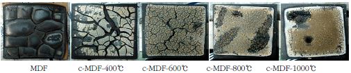 탄화 MDF의 연소시험 후 표면모습