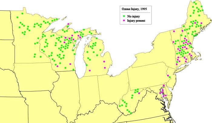 미국 중부~동북부 지역 오존 피해현황(FHM, 1995)