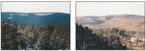 산림피해 이전(1976)과 이후(1995) 전경